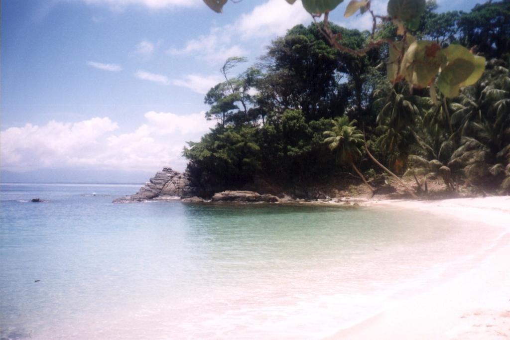 Hotel Y Restaurante Cesar Mariscos เตลา ภายนอก รูปภาพ