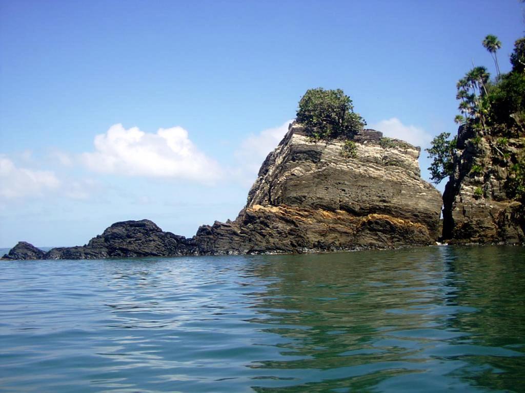 Hotel Y Restaurante Cesar Mariscos เตลา ภายนอก รูปภาพ
